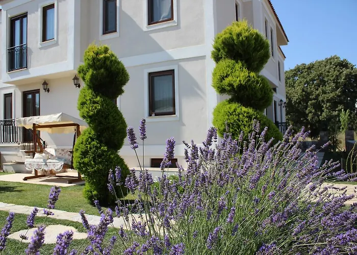 Adacayi Отель Бозджаада