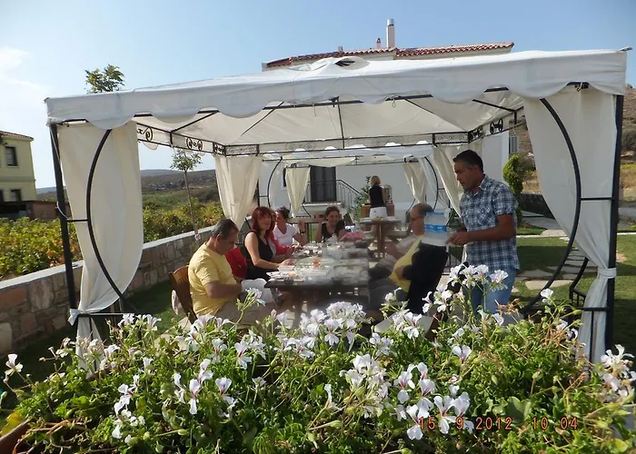 Adacayi Бозджаада